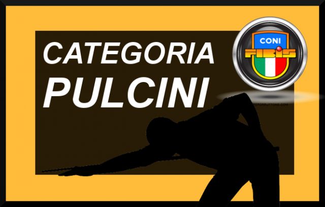 Categoria Pulcini